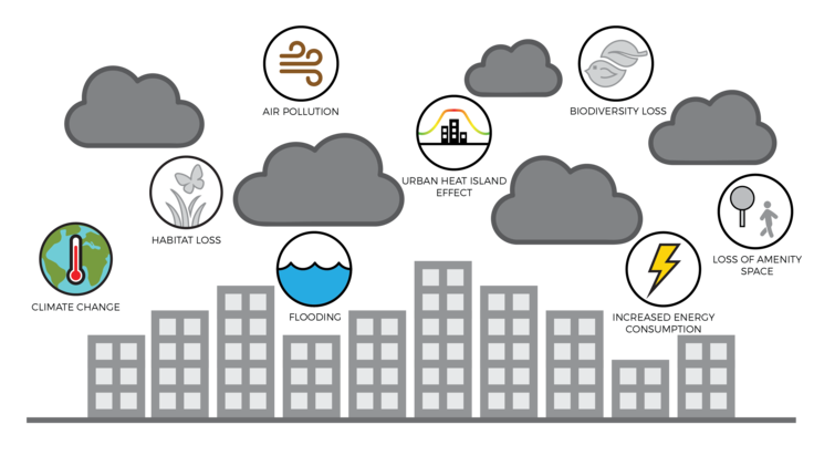 Figure 1: Negative Impacts from Urban Built Form