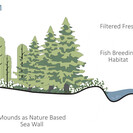 Section of proposed buffer system.