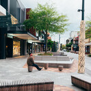 Te kōrero o kā kōrero huna. Telling untold stories.