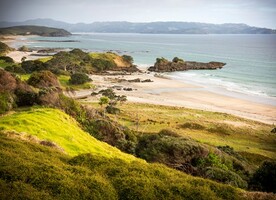 Tāwharanui Regional Park - Aoteaora's first integrated open sanctuary. Photo Credit: Auckland City Council.