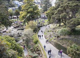 Wellington Botanic Garden. Photo credit: Nick Gee for Wellington City Council.