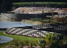 Kopupaka Reserve at Westgate by Isthmus has wetlands which were created and planted with reeds and other suitable plant species.