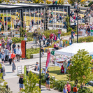 Pūtahi Park Whangārei
Maritime Festival