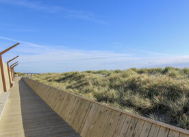 He Puna Taimoana Hot Pools - Dune Regeneration