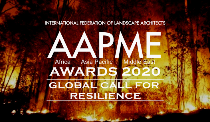 2020 AAPME Awards